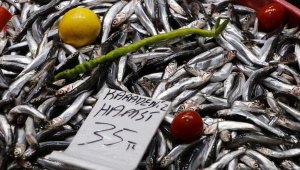 Prof. Dr. Berik: Haftada üç gün hamsi yiyerek, D vitamini ihtiyacımızı karşılayabiliriz