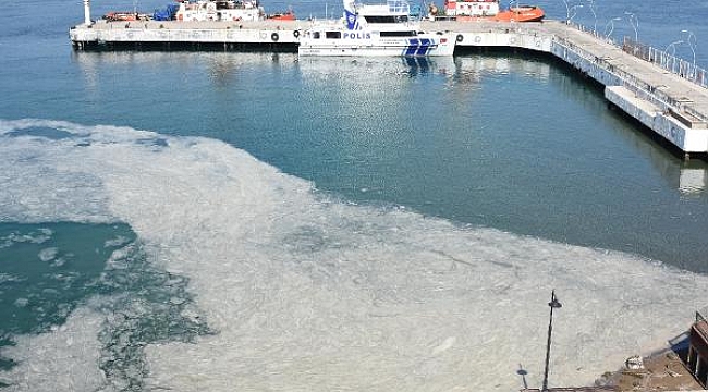 Çanakkale Boğazı'nda 'müsilaj' kabusu devam ediyor