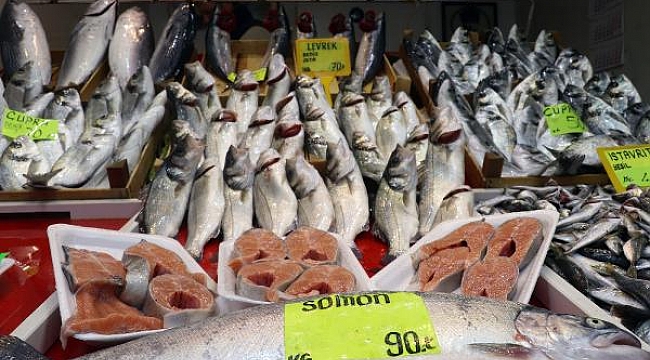 Çanakkale'de 'müsilaj' balık fiyatlarını arttırdı