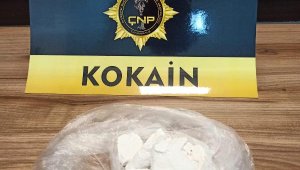 Otomobildeki 100 gram kokaini 'Lina' buldu