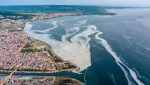Çanakkale Boğazı'nı kaplayan 'deniz salyası' havadan görüntülendi