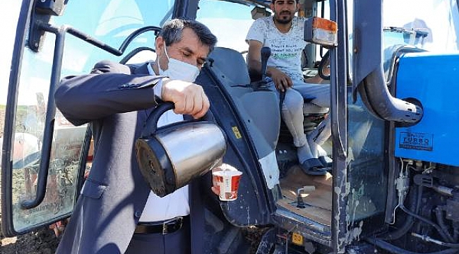 Muhtar, 'Çiftçiler Günü'nde tarlada çalışanlara kahve ikram edip, günlerini kutladı