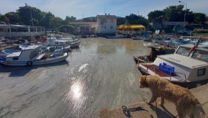 Bozcaada'da tedirgin eden müsilaj görüntüsü