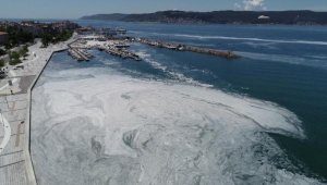 Çanakkale Boğazı'nda deniz salyası yoğunluğu