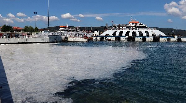 Çanakkale'de müsilajın deniz altındaki görüntüsü tedirgin etti
