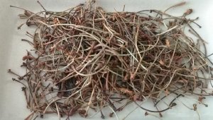 Ödeme karşı kiraz sapı çayı uyarısı; karaciğer yetmezliğine götürebilir