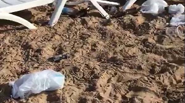 Bozcaada sahilindeki partide şezlongları kırıp, şemsiye yakıp, çöpleri bıraktılar