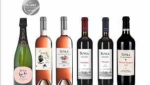 ÇANAKKALE SUVLA ŞARAPLARI, 6 ADET GÜMÜŞ MADALYA ALMAYA HAKKINI KAZANDI