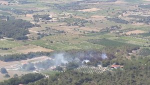 Çanakkale'de orman yangını