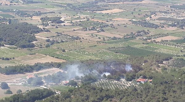 Çanakkale'de orman yangını