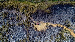2 İlden Müjdeli Haber ''Yangınlar Kontrol Altına Alındı''