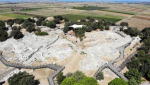Troya Hazineleri, Hisarlık Tepe'nin 3 bin kuruşa kamulaştırılmasıyla kurtulmuş