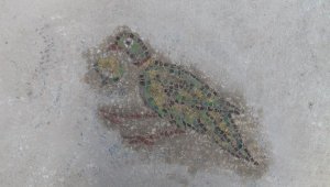 Troya Ören Yeri'nde Helenistik ve Roma dönemine ait mozaik bulundu