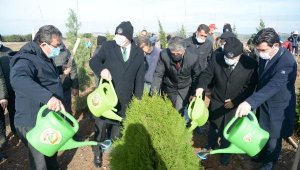 Çanakkale'de 43 bin fidan toprakla buluştu