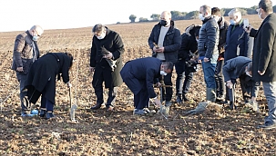 Troya Ören Yeri'ne gelen yerli ve yabancı turistleri lavanta tarlaları karşılayacak