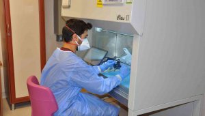 Akciğer kanserinde immünoterapi SGK tarafından ödeme kapsamına alındı