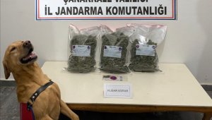 Biga'da uyuşturucu operasyonu: 2 gözaltı