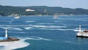 Çanakkale Boğazı'nda müsilaj kabusu