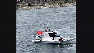 Ukrayna'dan ailesinin yanına gelen Türk öğrenci feribottan denize atlayarak hayatını kaybetti