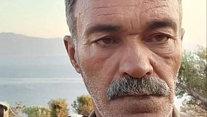 Ayvacık'ta Trafik Kazası 1 Ölü...