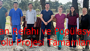 Hayvan Refahı ve Popülasyon Kontrolü Projesi Tamamlandı