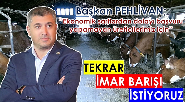 Bayramiç Ziraat Odası Başkanı İsmail PEHLİVAN ''Tekrar İmar Barışı İstiyoruz''