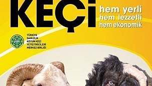 Çanakkale İli Damızlık Koyun Keçi Yetiştiriciler Birliği'nin Kurbanlık Önerisi