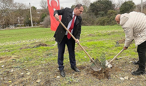 ''ZEYTİN FİDANI DİKİMİ'' ETKİNLİĞİ GERÇEKLEŞTİRİLDİ
