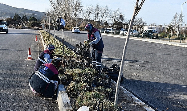 YEŞİL ALANLARDA ÇALIŞMALAR DEVAM EDİYOR