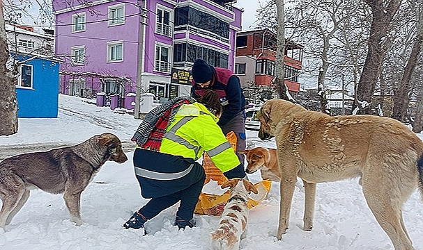 SOĞUK HAVADA CAN DOSTLARIMIZ UNUTULMUYOR