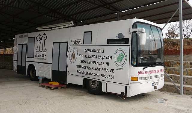 SOKAK HAYVANLARINI KISIRLAŞTIRMA VE AŞI PROJESİ HAYATA GEÇTİ