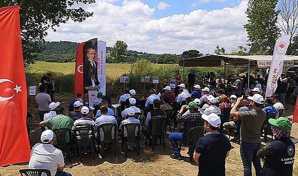 "KANOLA EKELİM, YAĞ OLSUN, BAL OLSUN"