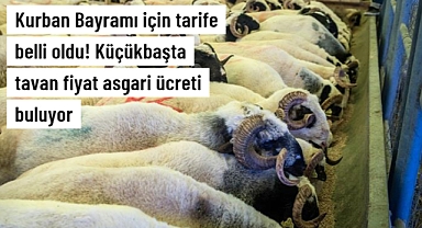 Kurban Bayramı için tarife belli oldu! Küçükbaşta tavan fiyat asgari ücreti buluyor