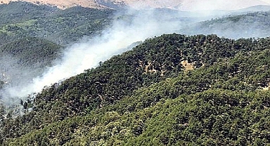 ORMANLIK ALANLARA GİRİŞ KISITLAMASI GELDİ