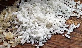 Biga Pirinci'ne Coğrafi İşaret Tescil Belgesi Verildi