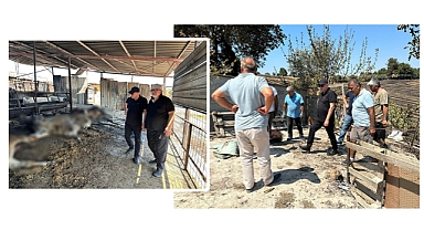 Gider “Üzgünüz”