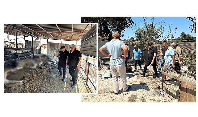 Gider “Üzgünüz”