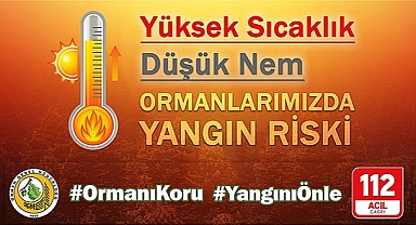 SON 10 GÜNDE 203 ORMAN YANGINI!