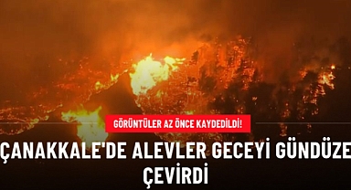 Çanakkale'deki orman yangınında alevler geceyi gündüze çevirdi