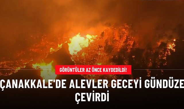 Çanakkale'deki orman yangınında alevler geceyi gündüze çevirdi