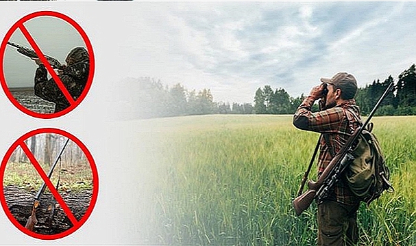 ORMAN YANGINLARINDAN ETKİLENEN ALANLARDA KARA AVCILIĞI DURDURULDU