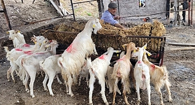 YANGININ AÇTIĞI YARA, EL BİRLİĞİYLE SARILIYOR