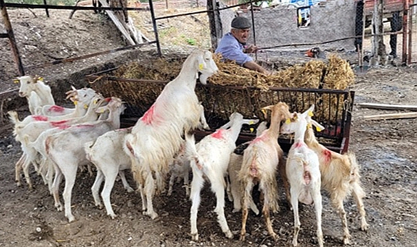YANGININ AÇTIĞI YARA, EL BİRLİĞİYLE SARILIYOR
