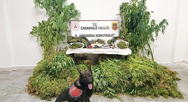 4 İLÇEDE UYUŞTURUCU OPERASYONU 6 KİŞİ TUTUKLANDI