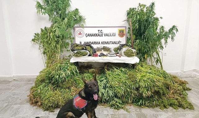 4 İLÇEDE UYUŞTURUCU OPERASYONU 6 KİŞİ TUTUKLANDI