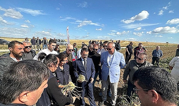 ÇIPLAK KÖYÜNDE ŞEKER PANCARI İLK HASAT TARLA GÜNÜ ETKİNLİĞİ GERÇEKLEŞTİRİLDİ