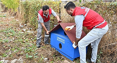 SOKAK HAYVANLARI İÇİN GÖNÜLLÜLERLE EL ELE