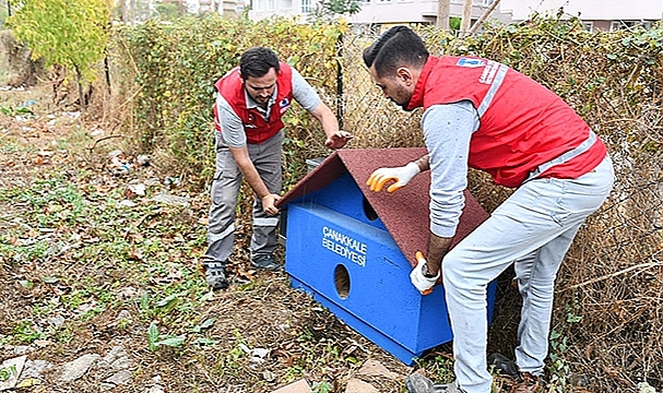 SOKAK HAYVANLARI İÇİN GÖNÜLLÜLERLE EL ELE