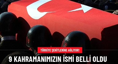 Operasyon bölgesinde şehit düşen 9 askerlerimizin kimliği belli oldu