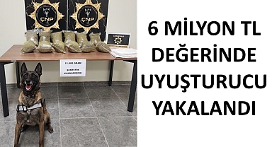 Çanakkale'de Araç İçinde 6 Milyonluk Uyuşturucu Yakalandı